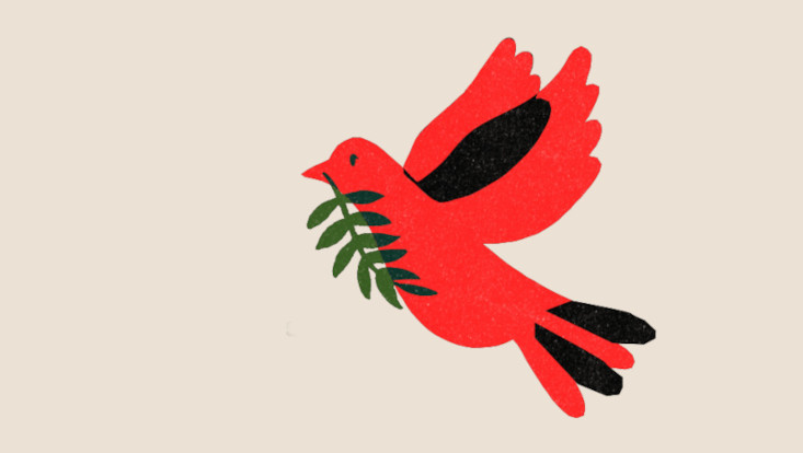 Deutschland und Palästina – Das Völkerrecht und die Verantwortung der Bundesrepublik