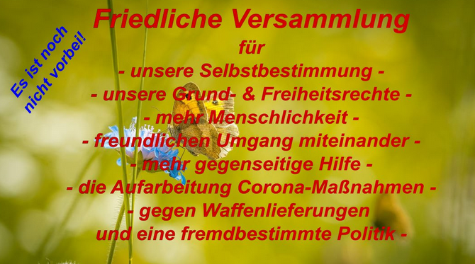 Friedliche Versammlung für Selbstbestimmung, Grund- und Freiheitsrechte