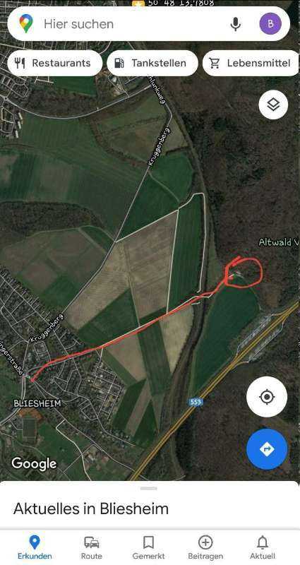 Bliesheimer Waldspaziergang